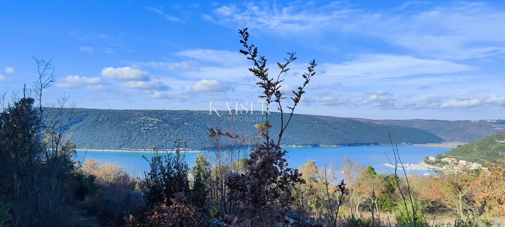 Image 6203887 - 4