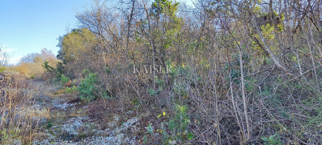 Image 6203887 - 8