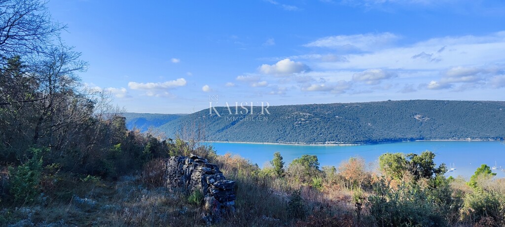 Image 6203887 - 3
