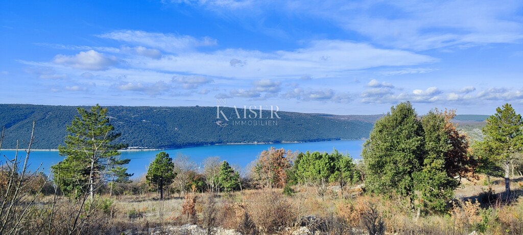 Image 6203887 - 1
