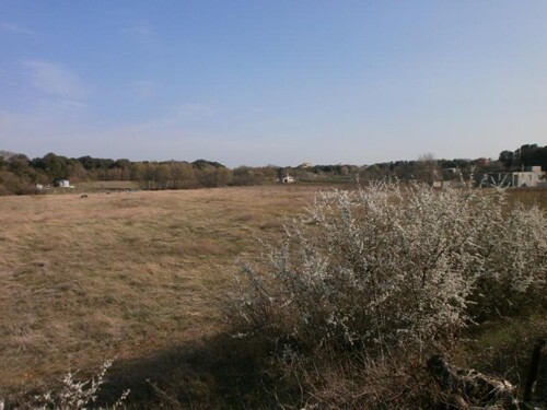 Thumbnail 6203980 - 2