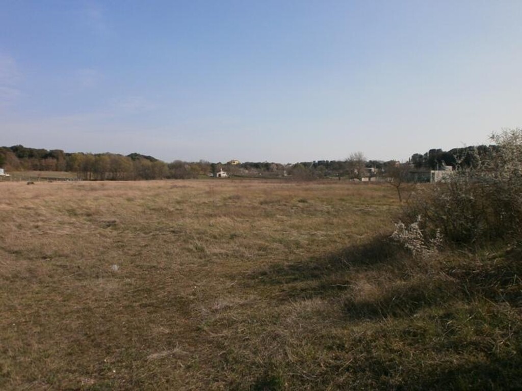 Image 6203980 - 5