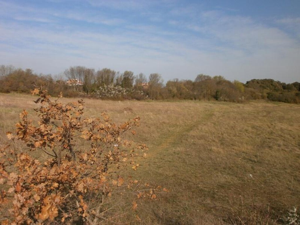 Image 6203980 - 1