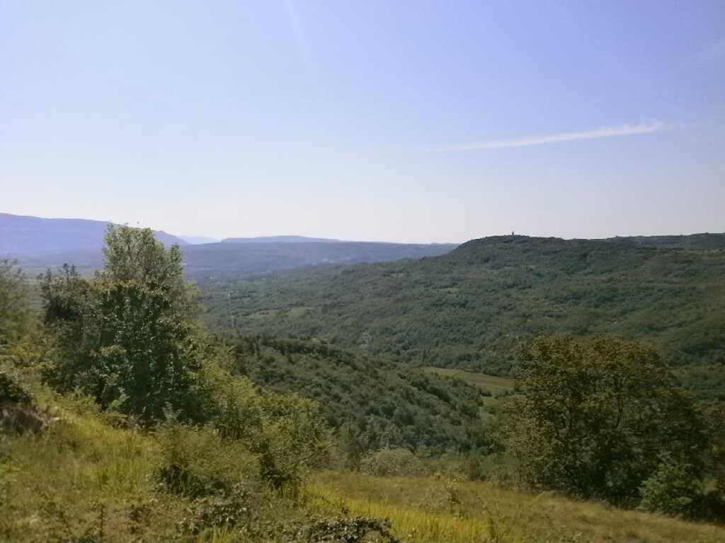 Image 6203982 - 3
