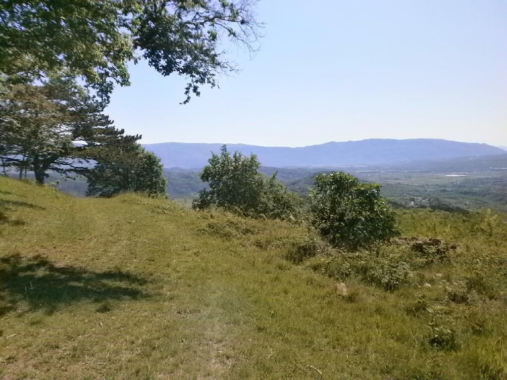 Image 6203982 - 1