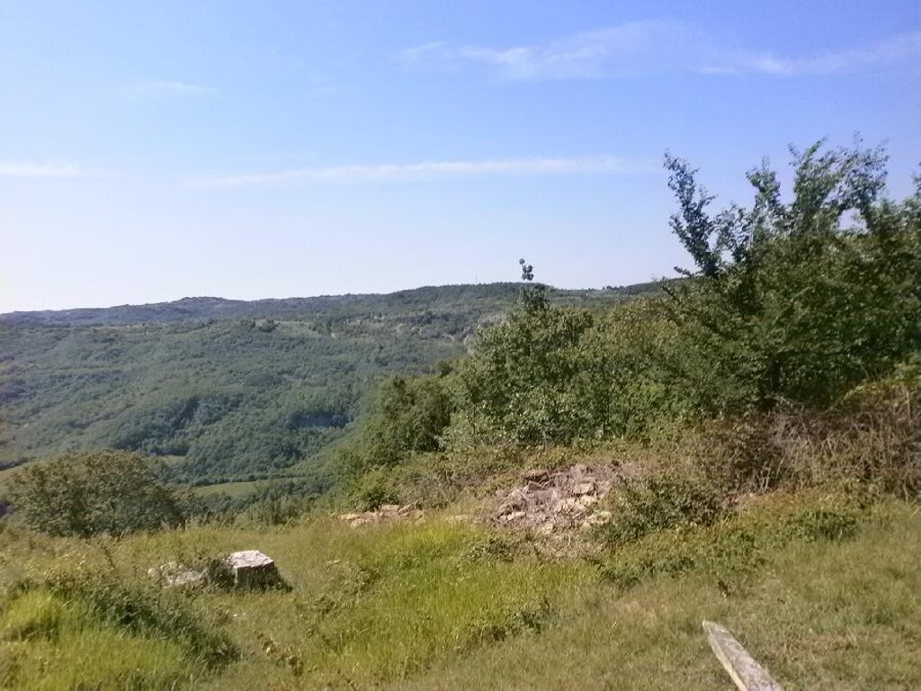 Image 6203982 - 2