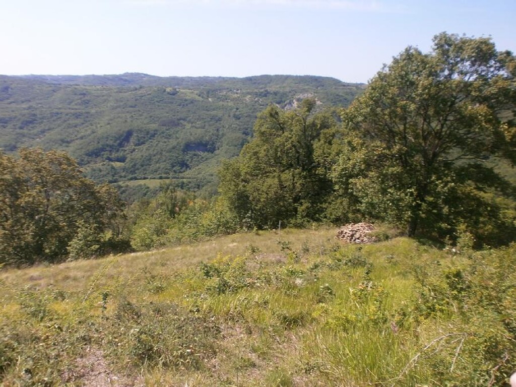 Image 6203982 - 5