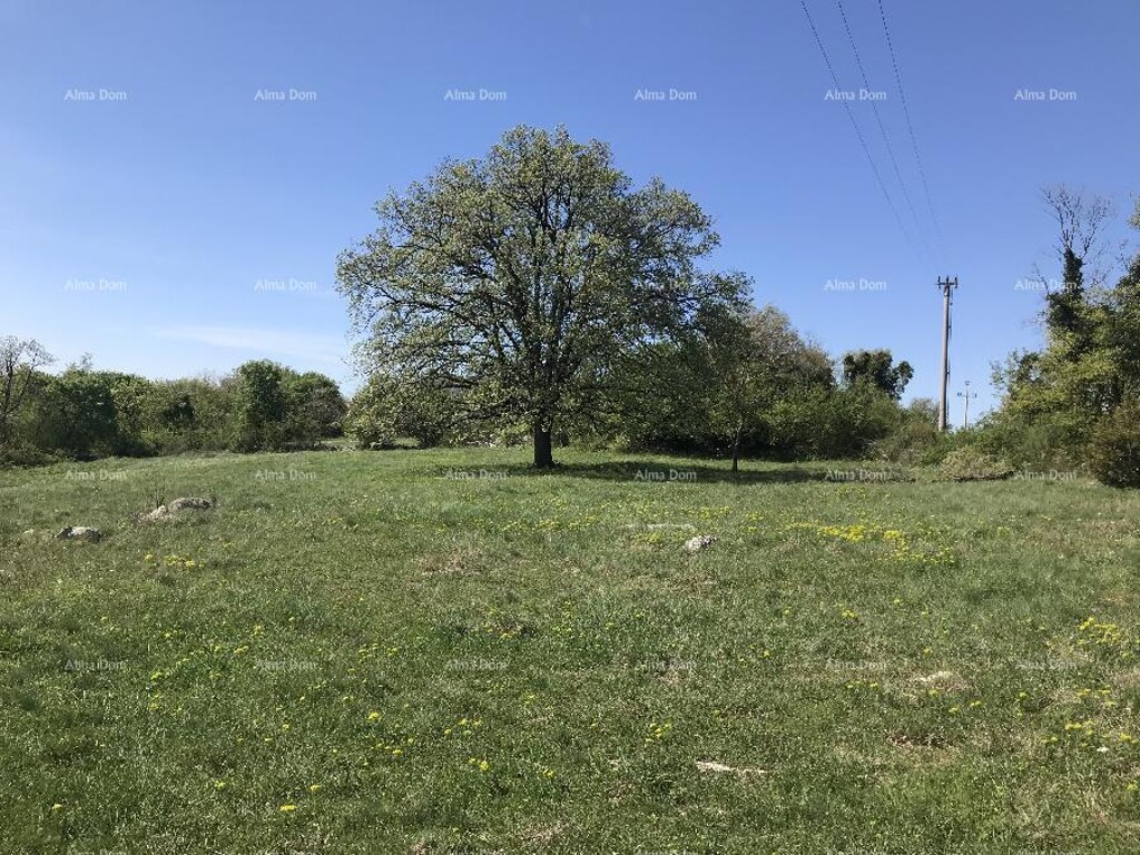 Image 6203987 - 1