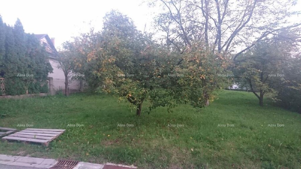 Image 6204064 - 2