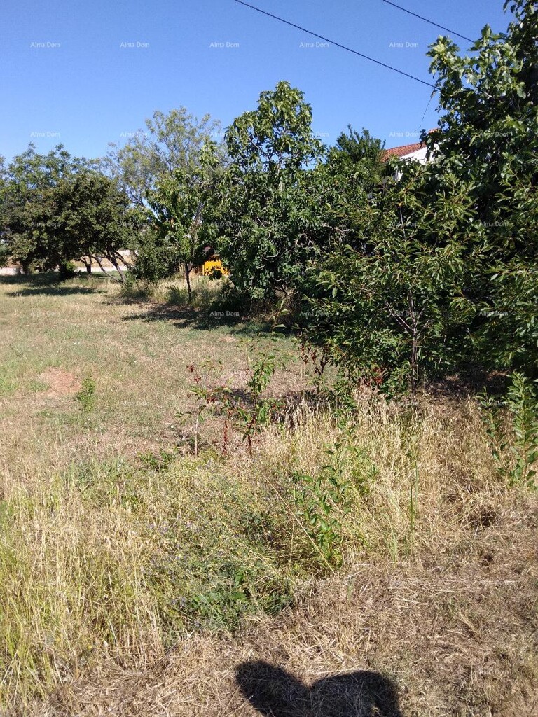 Image 6204081 - 2