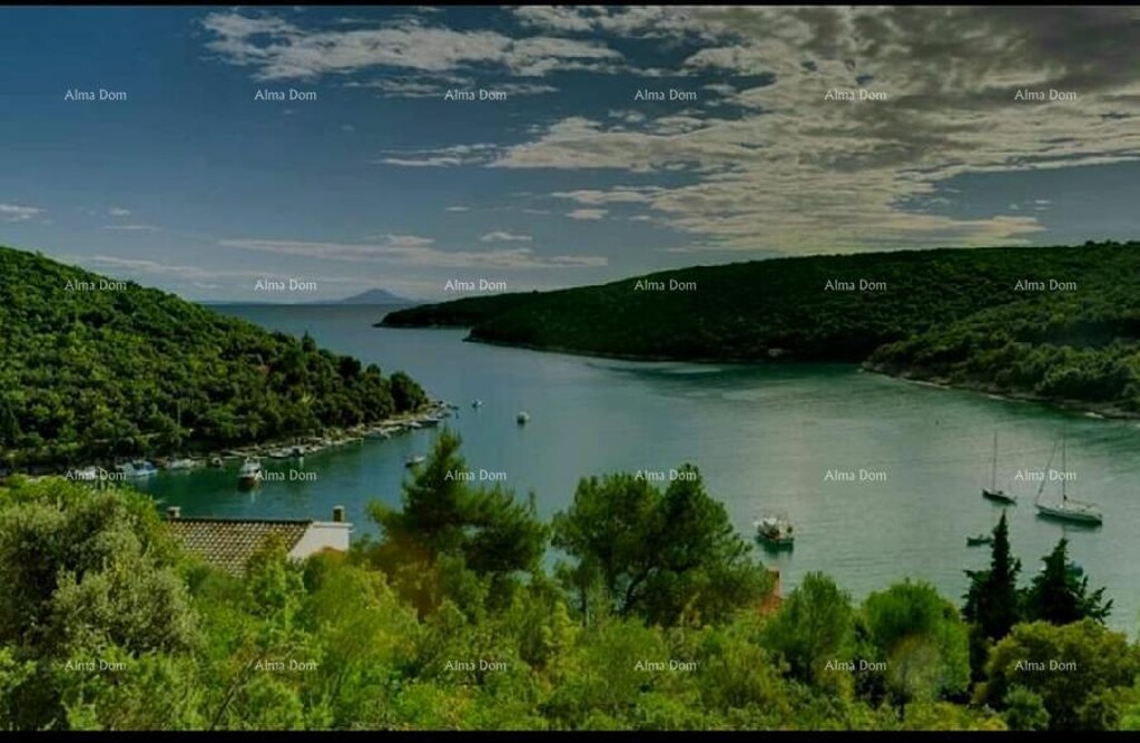 Image 6204090 - 1