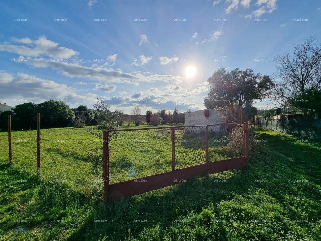 Image 6204120 - 1