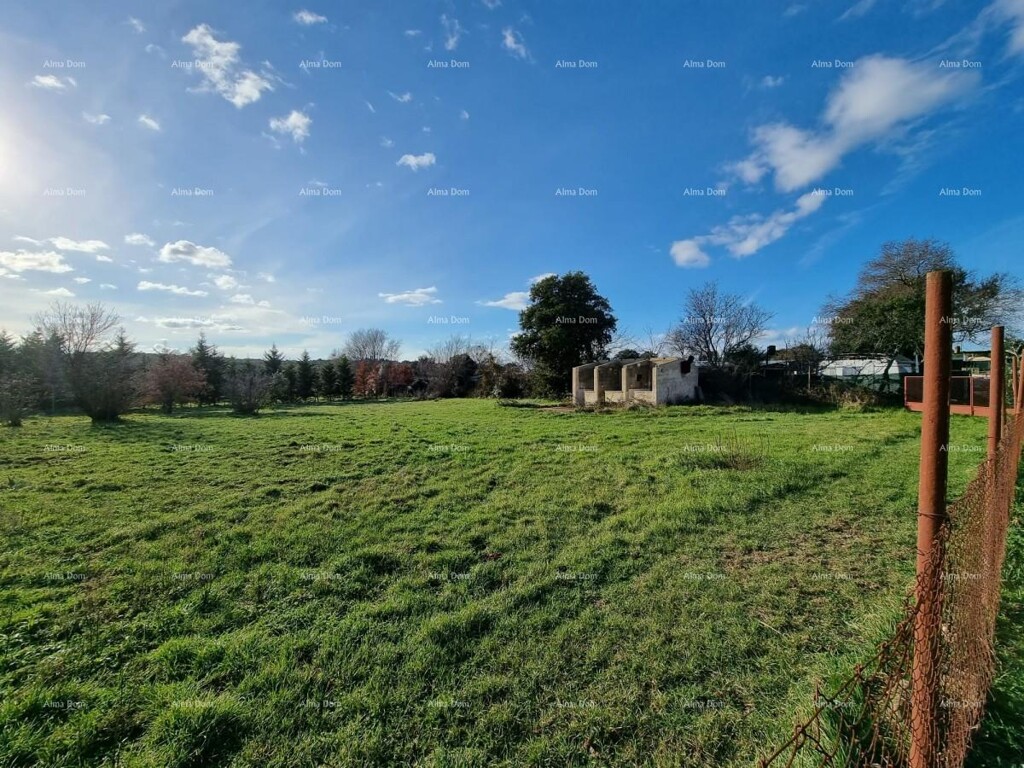 Image 6204120 - 3