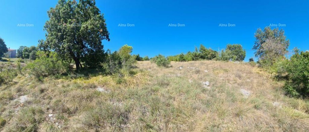 Image 6204121 - 3
