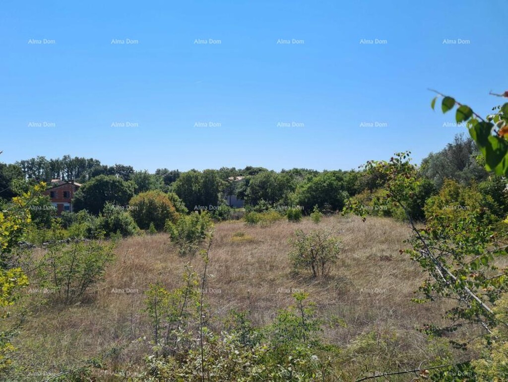 Image 6204121 - 4