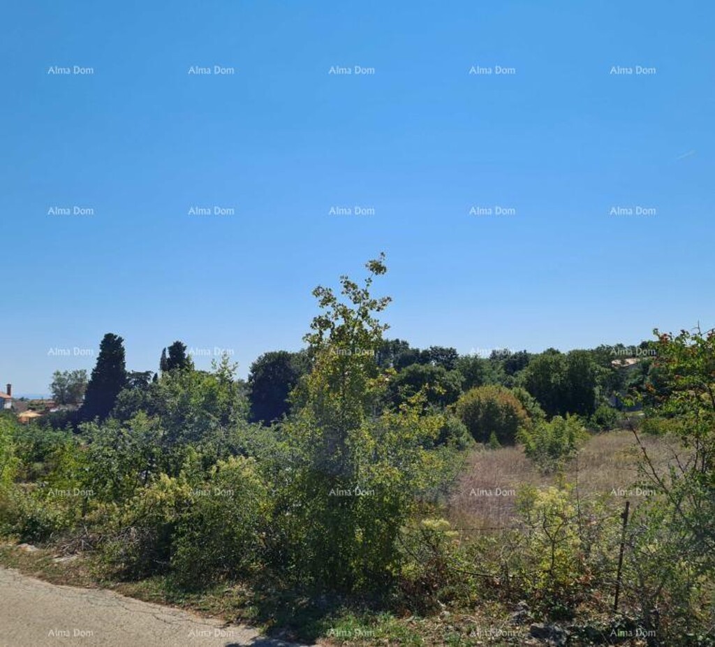 Image 6204121 - 1