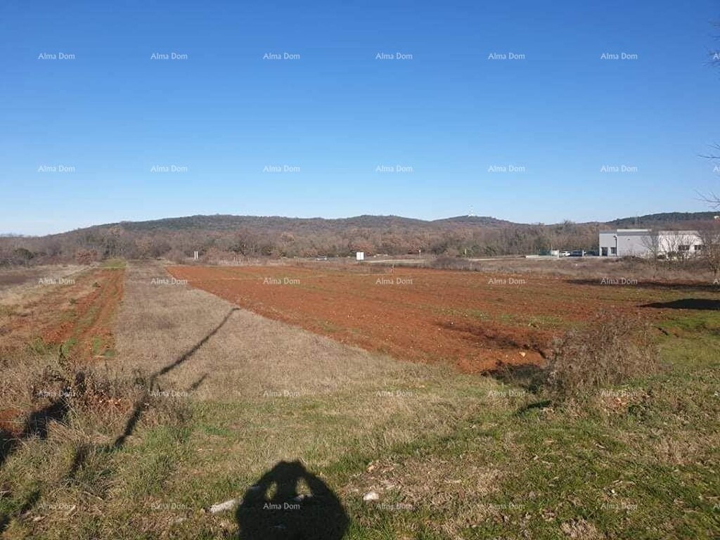 Image 6204123 - 1