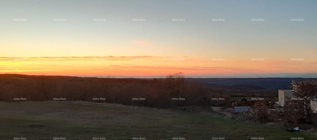 Image 6204128 - 1