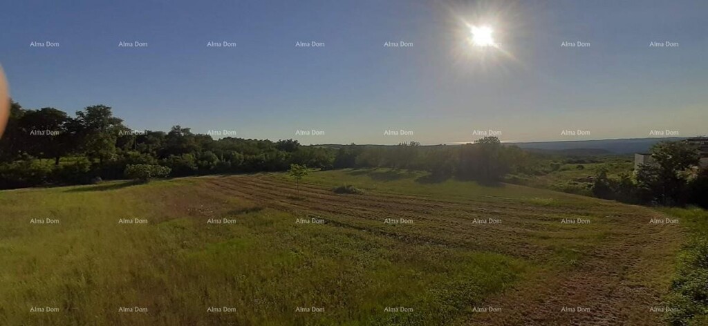 Image 6204128 - 3