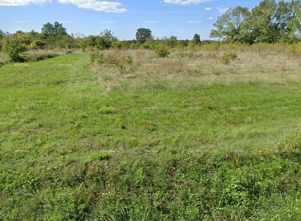Image 6204141 - 1
