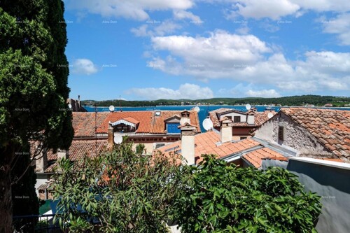 Thumbnail 6204189 - 12