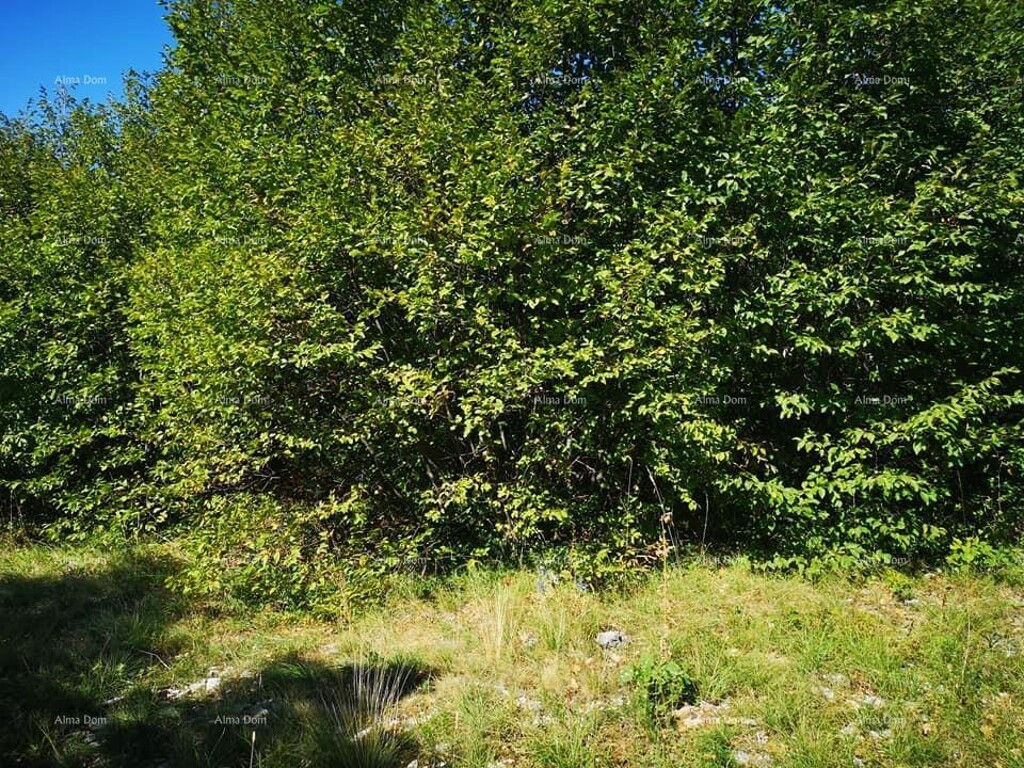 Image 6204194 - 2