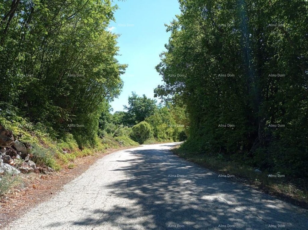 Image 6204209 - 2