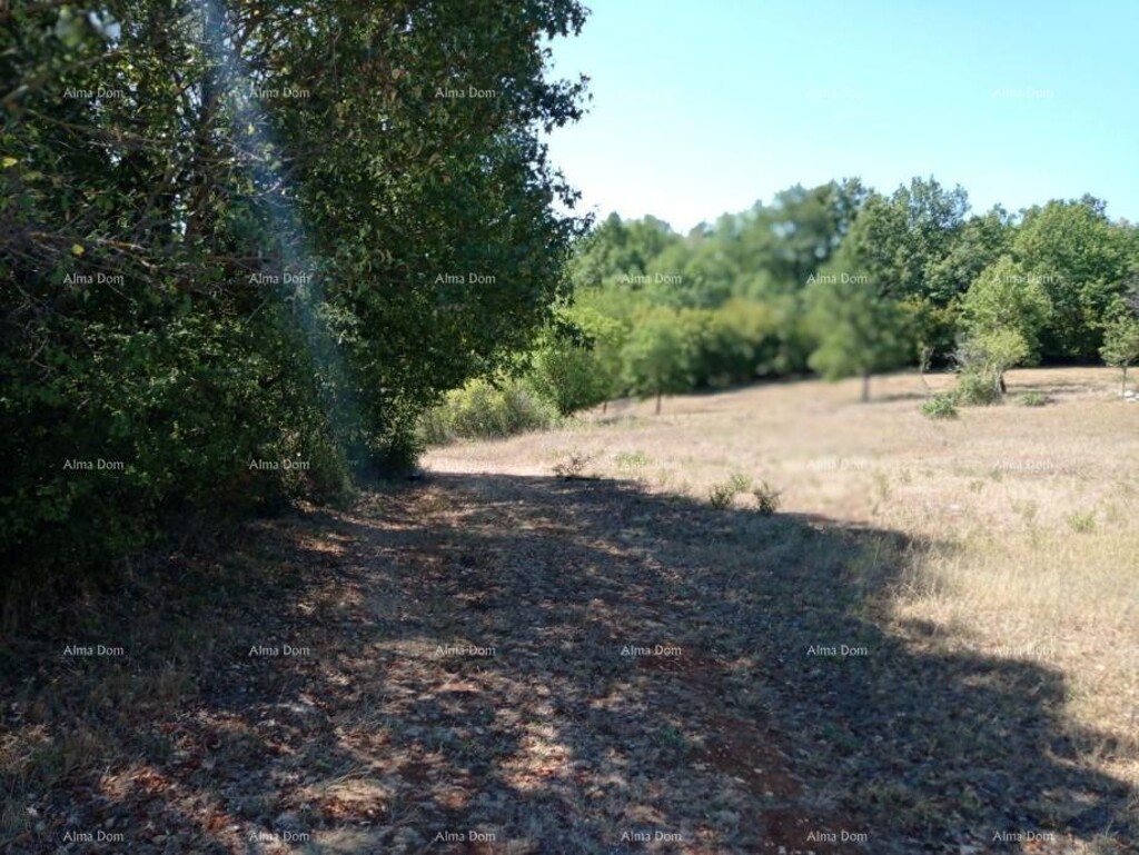 Image 6204209 - 5