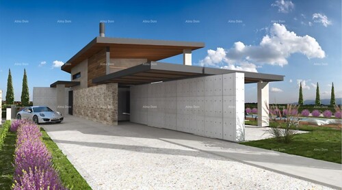 Kuća Vodnjan . Vila u projektu.