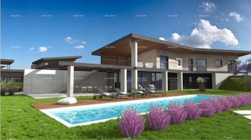 Kuća Vodnjan . Vila u projektu.