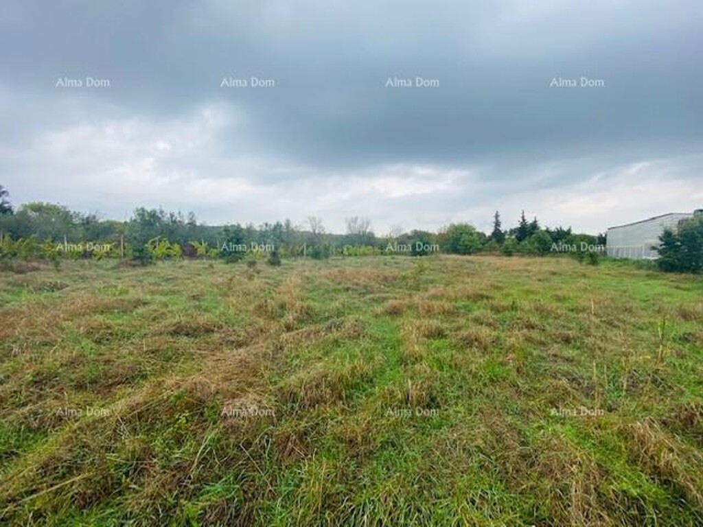 Image 6204226 - 2