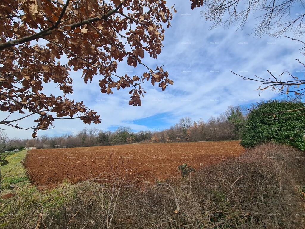 Image 6204253 - 1