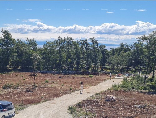 Thumbnail 6204255 - 6