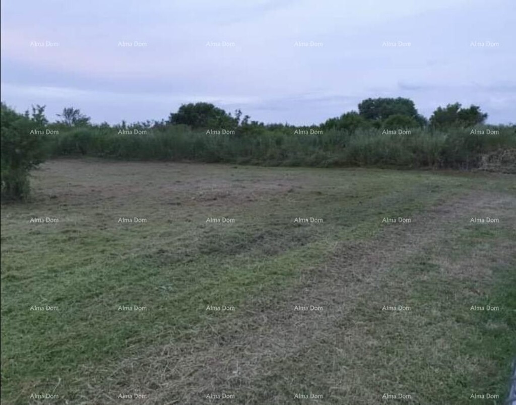 Image 6204284 - 3