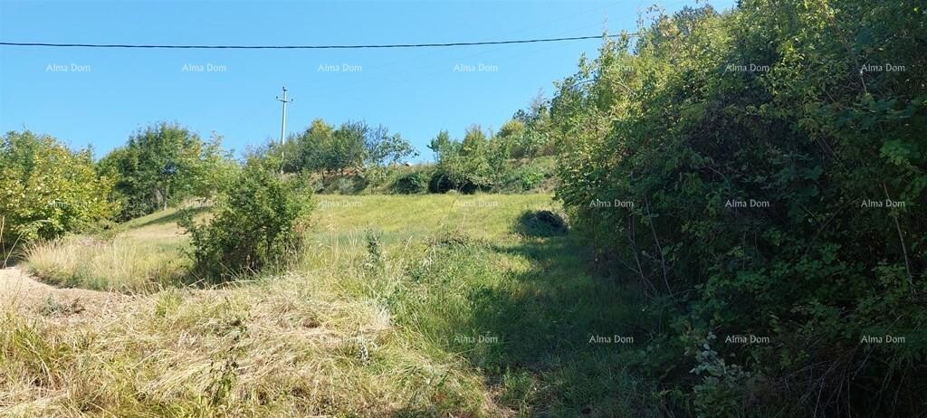 Image 6204298 - 4