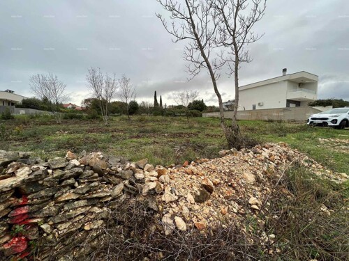 Thumbnail 6204306 - 4