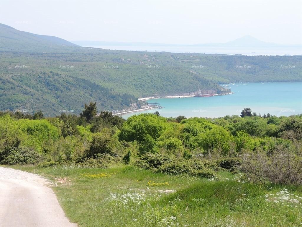 Image 6204325 - 1