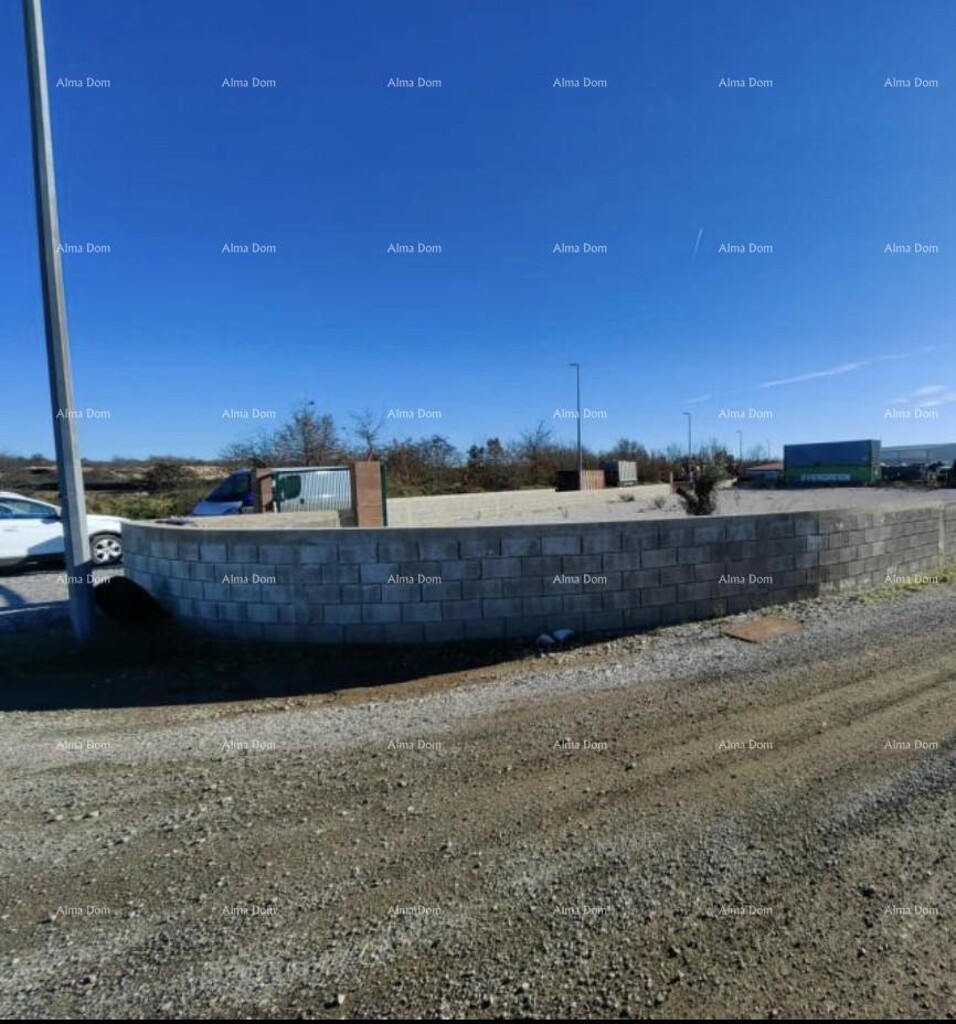 Image 6204338 - 3