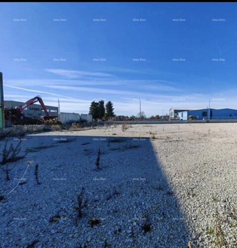 Thumbnail 6204338 - 4