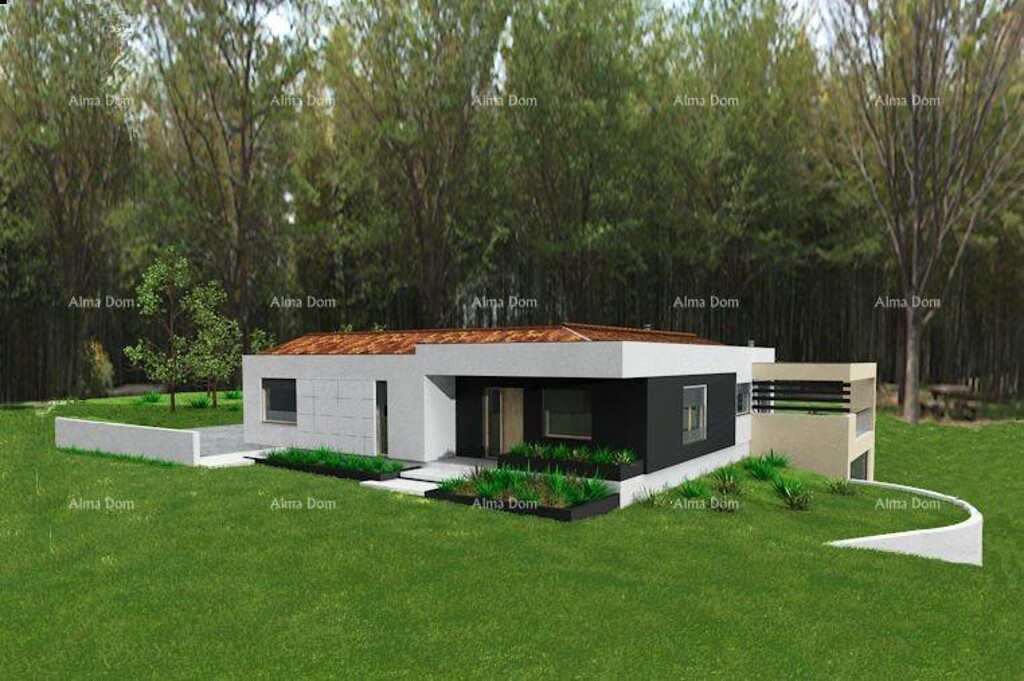 Image 6204339 - 9
