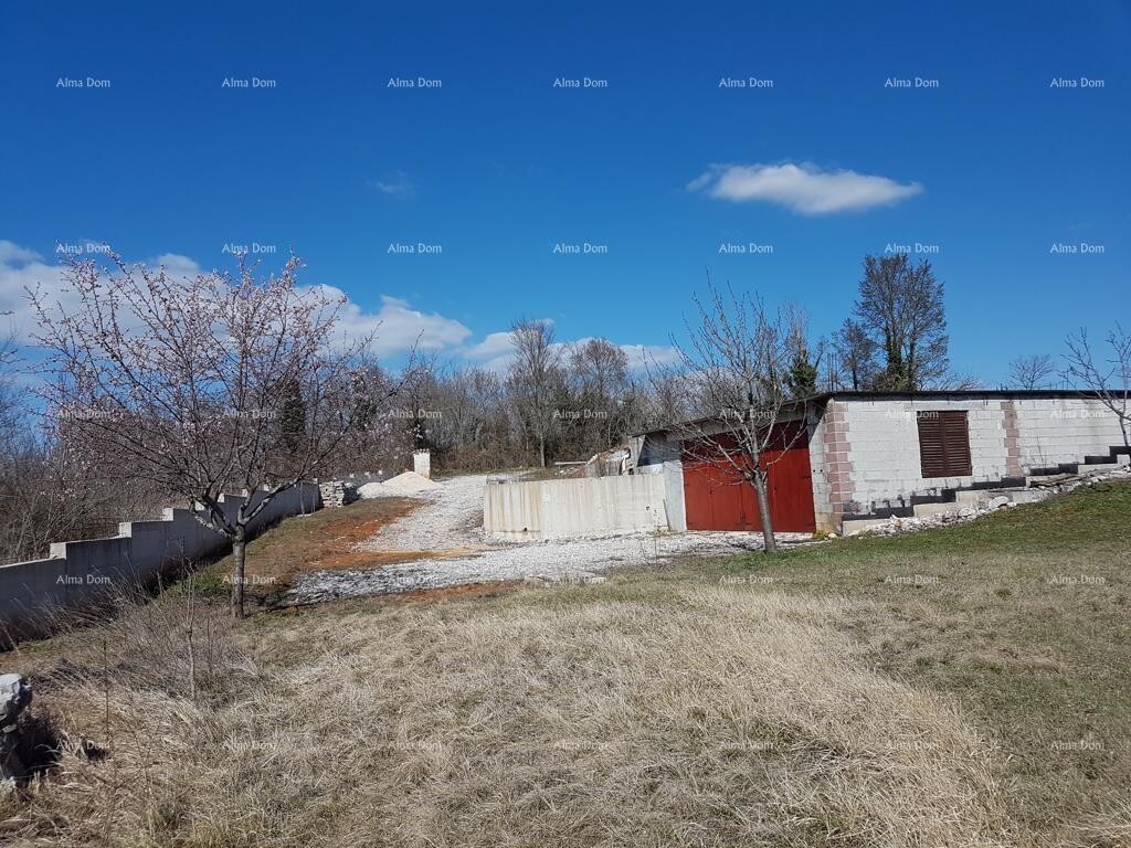 Image 6204339 - 5