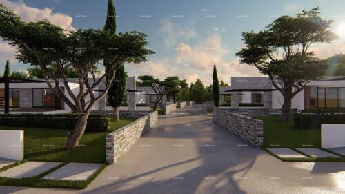 Thumbnail 6204340 - 1