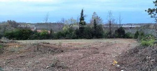 Thumbnail 6204363 - 1