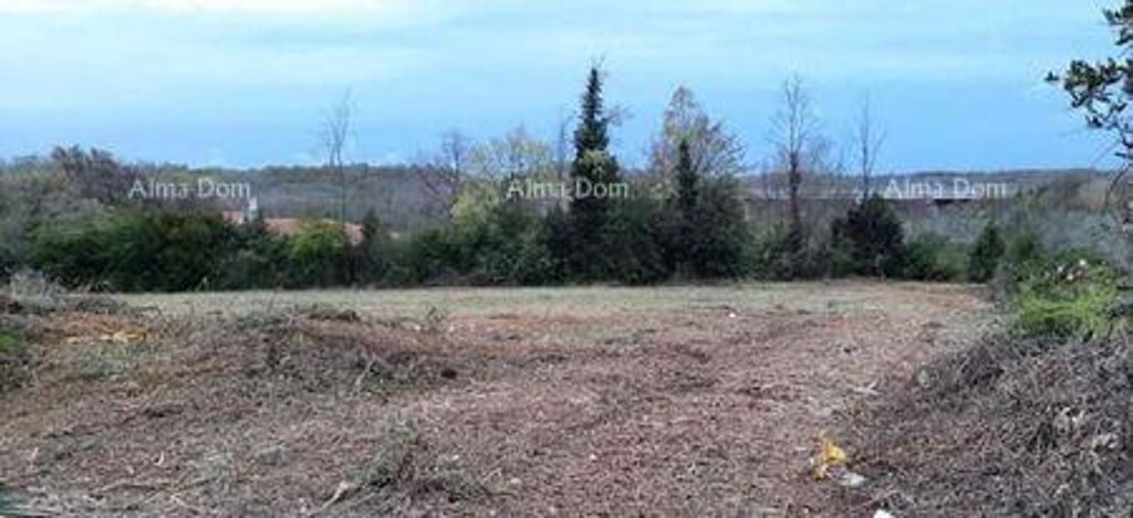 Image 6204363 - 1