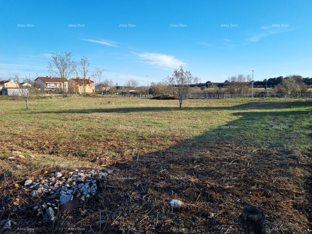 Image 6204414 - 1