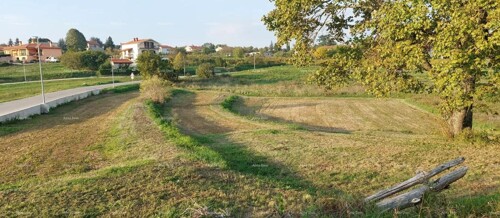 Thumbnail 6204459 - 1