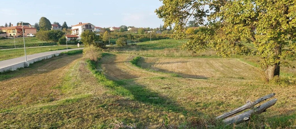 Image 6204459 - 1