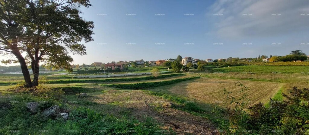 Image 6204459 - 4