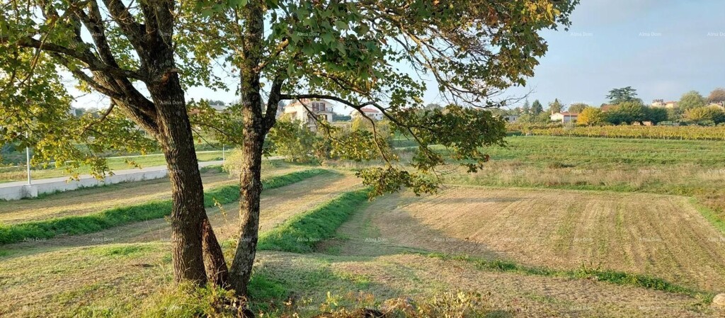 Image 6204459 - 3