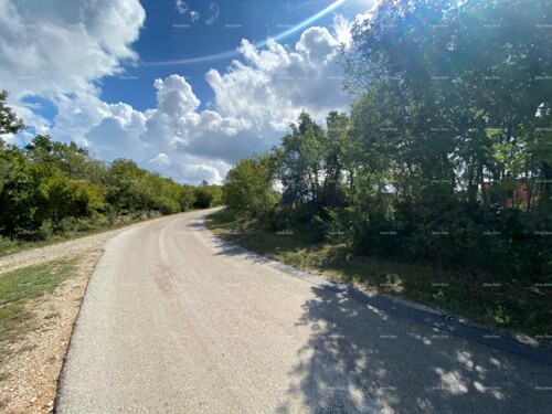 Thumbnail 6204466 - 1
